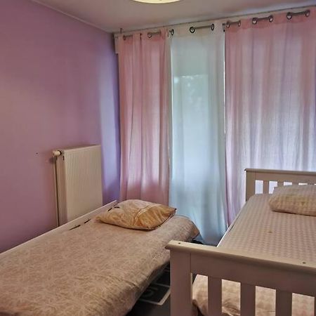 Appartement Cosy A 10 Min Du Centre De Strazburg Dış mekan fotoğraf