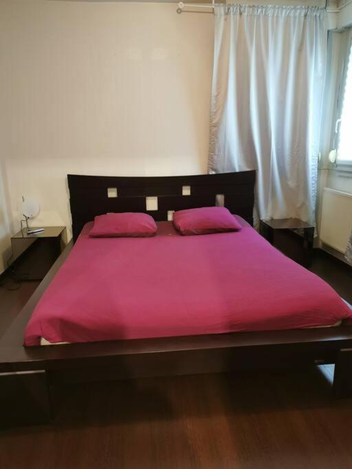 Appartement Cosy A 10 Min Du Centre De Strazburg Dış mekan fotoğraf