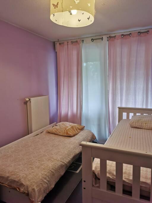 Appartement Cosy A 10 Min Du Centre De Strazburg Dış mekan fotoğraf